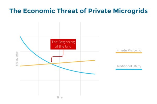 How to survive in the Microgrid Future