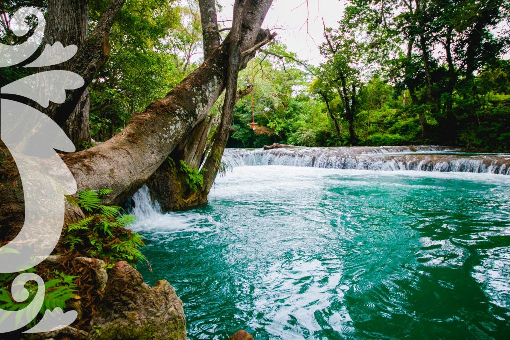 La CEA de San Luis Potosí y Open International, discutirán acerca de la tecnología digital como herramienta para mejorar la gestión comercial de los organismos operadores de agua